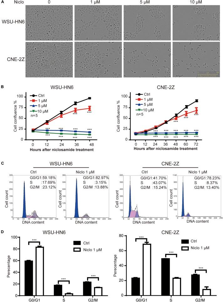 https://cdn.ncbi.nlm.nih.gov/pmc/blobs/791d/6333743/424c27b0f935/fphar-09-01544-g001.jpg
