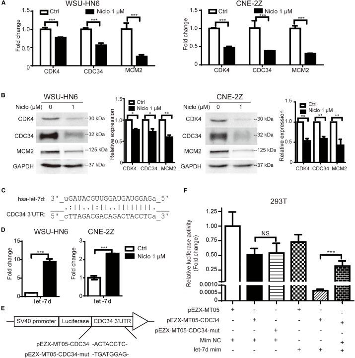 https://cdn.ncbi.nlm.nih.gov/pmc/blobs/791d/6333743/961fedbc019b/fphar-09-01544-g002.jpg