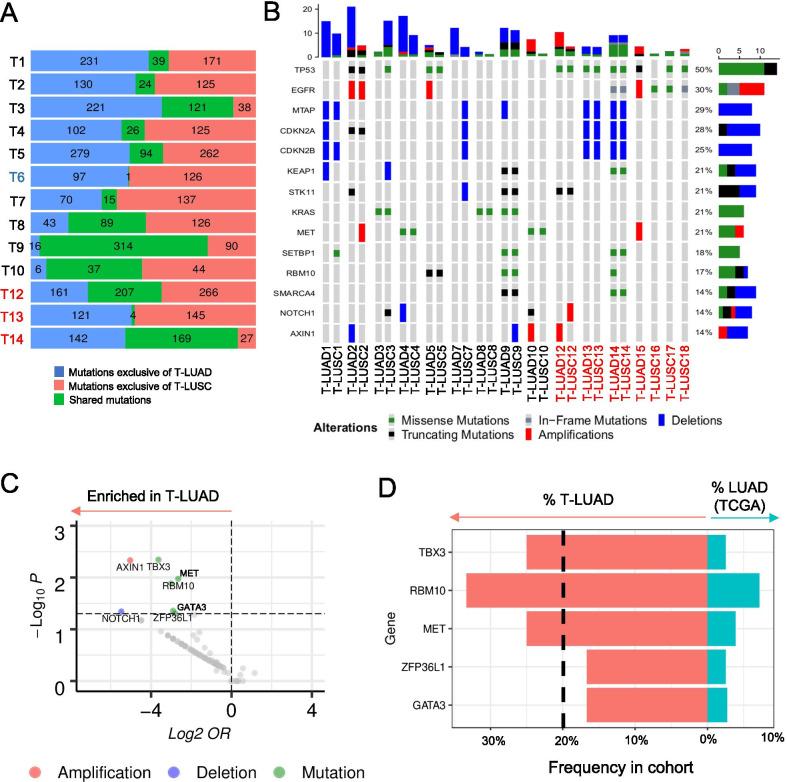 https://cdn.ncbi.nlm.nih.gov/pmc/blobs/791d/8520275/36db7dcc7475/13045_2021_1186_Fig2_HTML.jpg