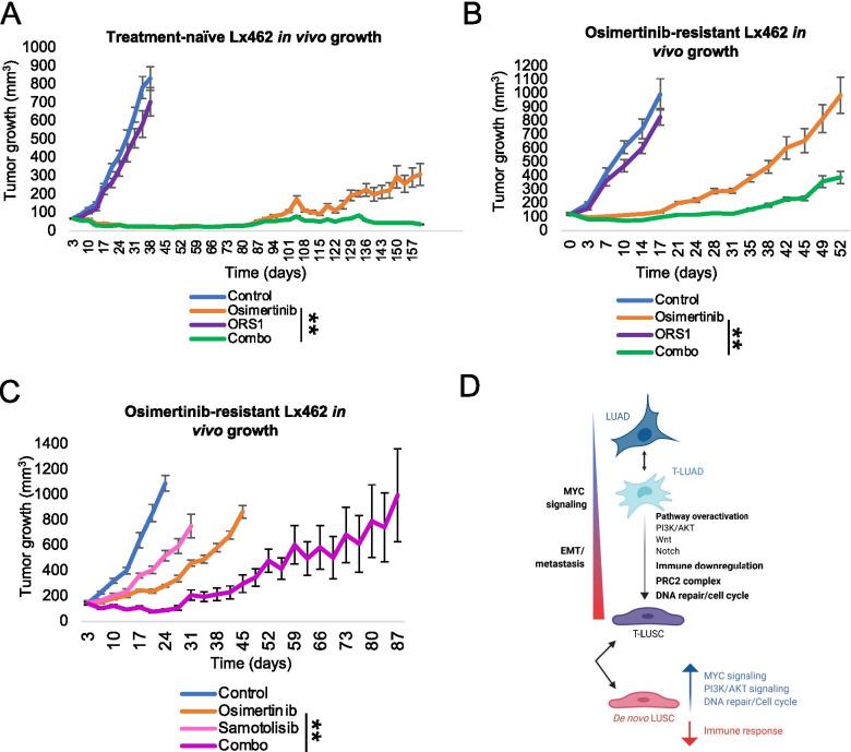 https://cdn.ncbi.nlm.nih.gov/pmc/blobs/791d/8520275/b8101d60d229/13045_2021_1186_Fig6_HTML.jpg