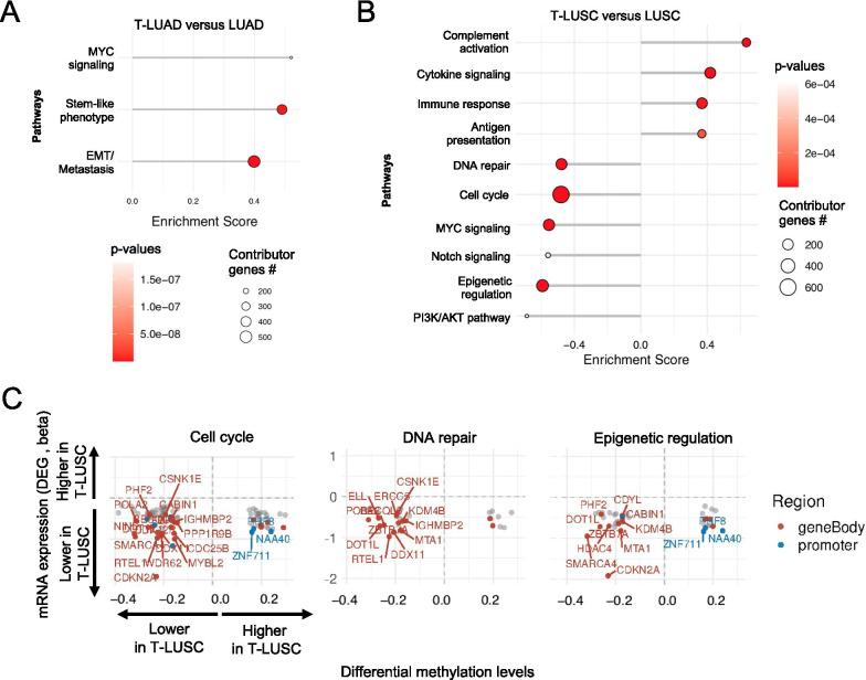 https://cdn.ncbi.nlm.nih.gov/pmc/blobs/791d/8520275/c4bfa65dc093/13045_2021_1186_Fig4_HTML.jpg