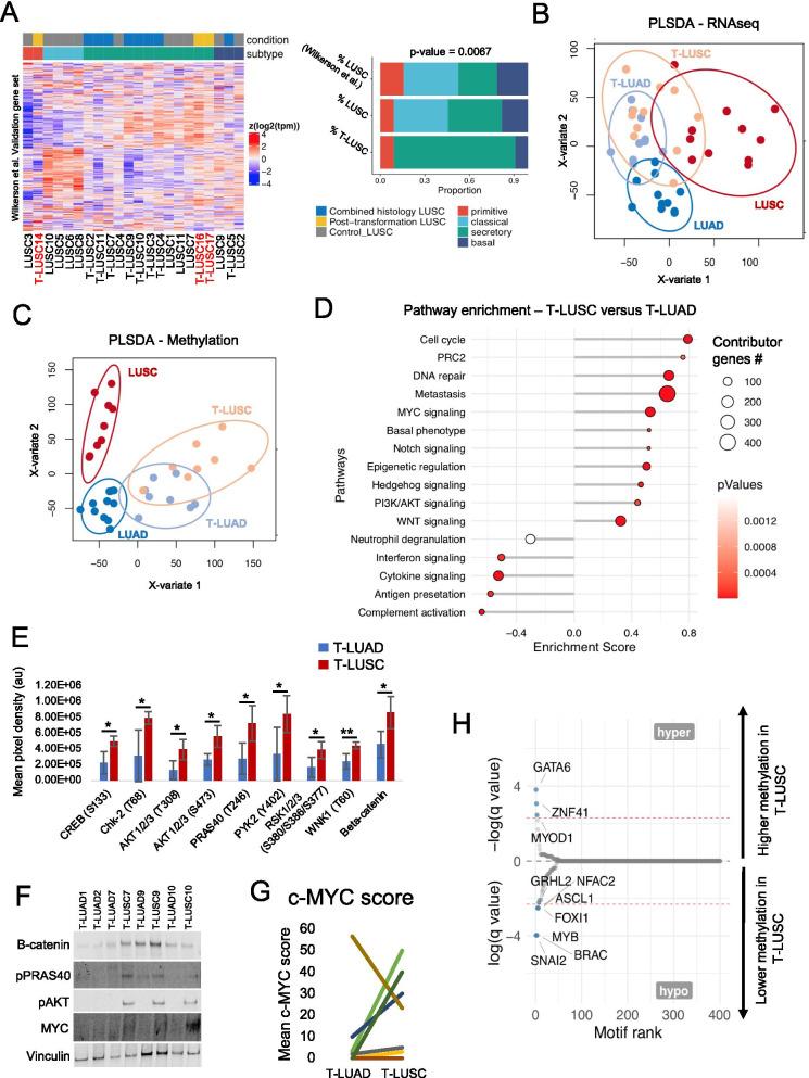 https://cdn.ncbi.nlm.nih.gov/pmc/blobs/791d/8520275/d9307b1e2cbe/13045_2021_1186_Fig3_HTML.jpg