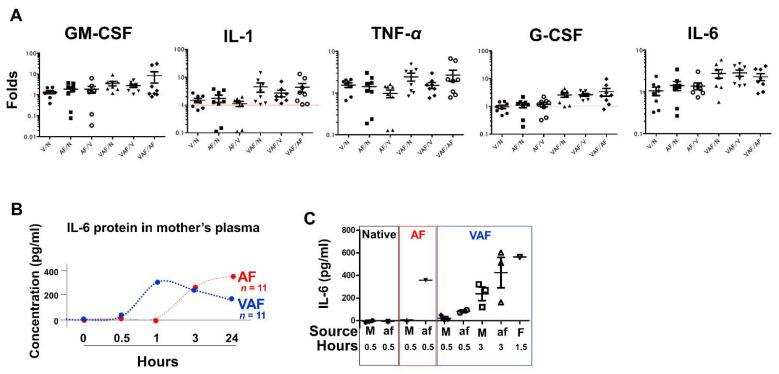 https://cdn.ncbi.nlm.nih.gov/pmc/blobs/791d/8836254/a755ba1c5b50/ijms-23-01787-g006.jpg