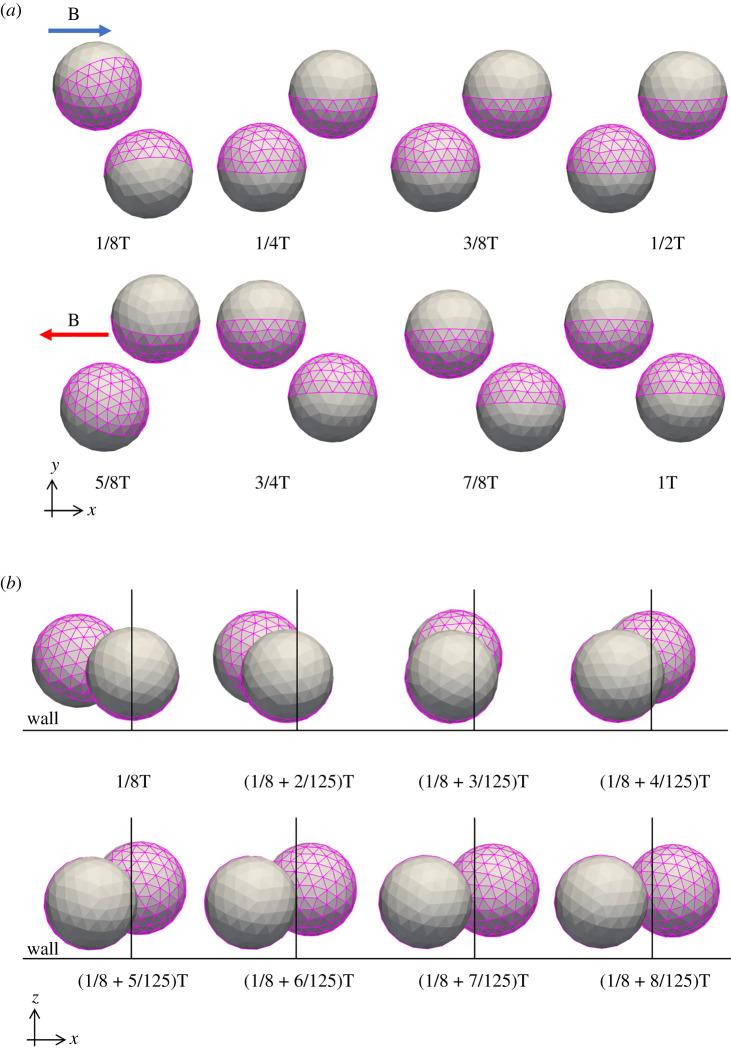 https://cdn.ncbi.nlm.nih.gov/pmc/blobs/791e/7813250/62d556ce1d00/rsos200378-g2.jpg