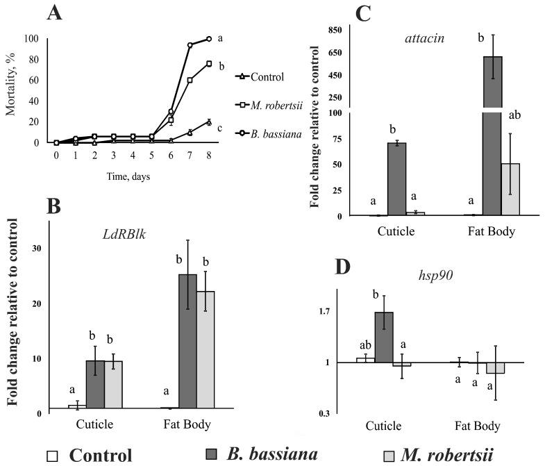 https://cdn.ncbi.nlm.nih.gov/pmc/blobs/791f/8148562/f3fca9b364c6/jof-07-00364-g004.jpg