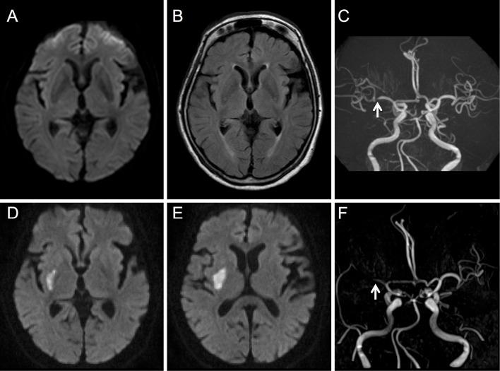 https://cdn.ncbi.nlm.nih.gov/pmc/blobs/791f/8710370/d761a0c018e6/1349-7235-60-3805-g001.jpg