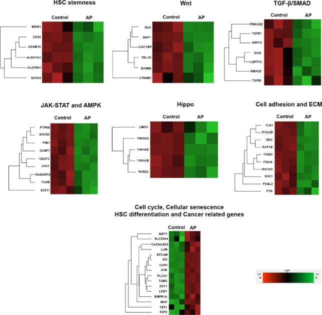 https://cdn.ncbi.nlm.nih.gov/pmc/blobs/7920/12343817/6bd0fdac80e6/41598_2025_15647_Fig7_HTML.jpg