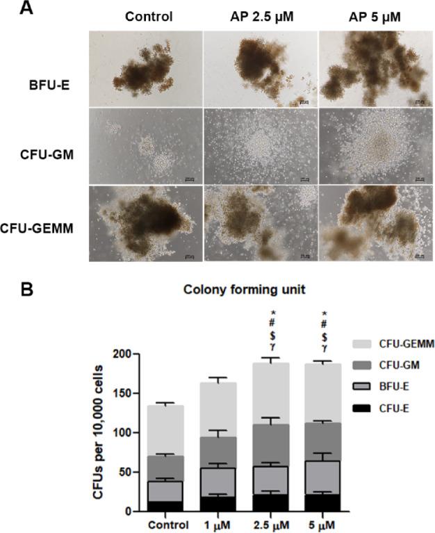 https://cdn.ncbi.nlm.nih.gov/pmc/blobs/7920/12343817/faaf3d241340/41598_2025_15647_Fig5_HTML.jpg