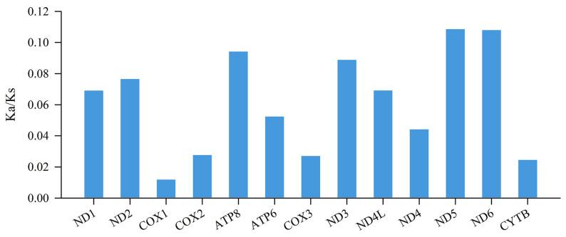 https://cdn.ncbi.nlm.nih.gov/pmc/blobs/7922/10530863/d9f088440e14/genes-14-01786-g003.jpg