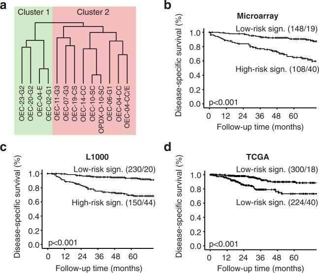 https://cdn.ncbi.nlm.nih.gov/pmc/blobs/7925/9053236/69f338053dbe/43856_2021_19_Fig6_HTML.jpg