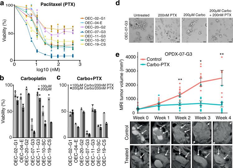https://cdn.ncbi.nlm.nih.gov/pmc/blobs/7925/9053236/bcb3e45c0911/43856_2021_19_Fig4_HTML.jpg