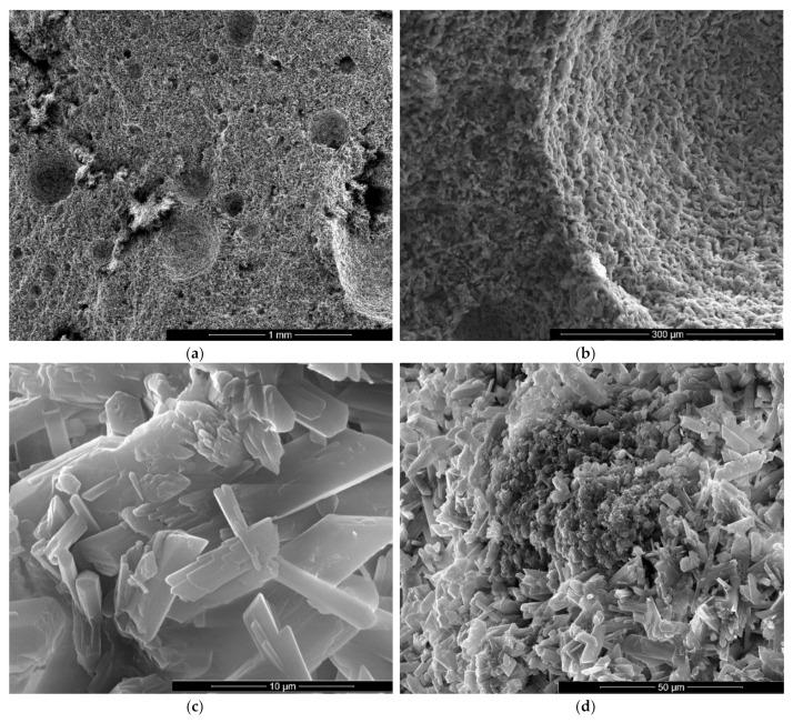 https://cdn.ncbi.nlm.nih.gov/pmc/blobs/7926/7730631/5f84bee2b0c9/materials-13-05454-g009.jpg