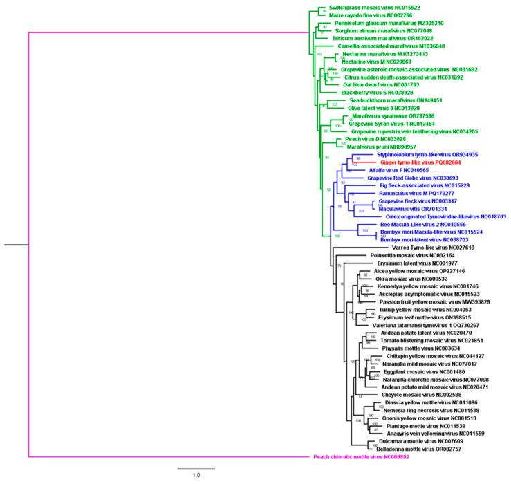 https://cdn.ncbi.nlm.nih.gov/pmc/blobs/7928/12390665/98fd605a9aa9/viruses-17-01068-g005.jpg