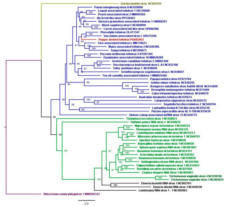 https://cdn.ncbi.nlm.nih.gov/pmc/blobs/7928/12390665/c557e20e0bd5/viruses-17-01068-g006.jpg