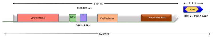 https://cdn.ncbi.nlm.nih.gov/pmc/blobs/7928/12390665/dac3e0619ee3/viruses-17-01068-g003.jpg