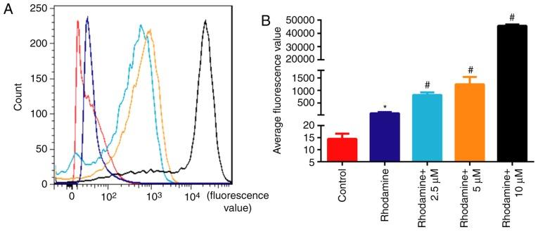 https://cdn.ncbi.nlm.nih.gov/pmc/blobs/7928/7053858/7892d6593d63/IJMM-45-04-1213-g05.jpg