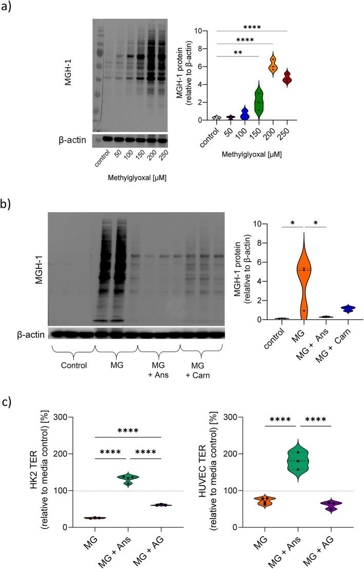 https://cdn.ncbi.nlm.nih.gov/pmc/blobs/7929/11535046/be3fbeef678a/41598_2024_77891_Fig4_HTML.jpg