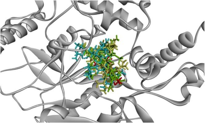 https://cdn.ncbi.nlm.nih.gov/pmc/blobs/792a/12319158/2569c5fcf123/FSN3-13-e70713-g002.jpg