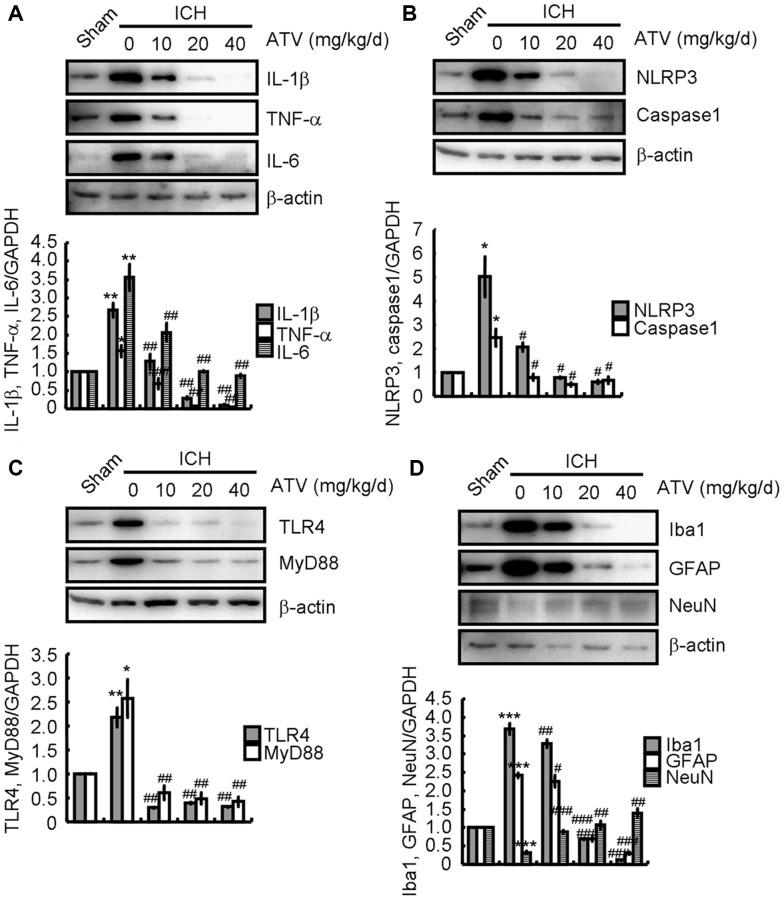 https://cdn.ncbi.nlm.nih.gov/pmc/blobs/792c/8791214/6660bcc2e5f1/aging-14-203824-g004.jpg