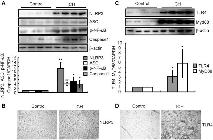 https://cdn.ncbi.nlm.nih.gov/pmc/blobs/792c/8791214/80546b825c07/aging-14-203824-g002.jpg