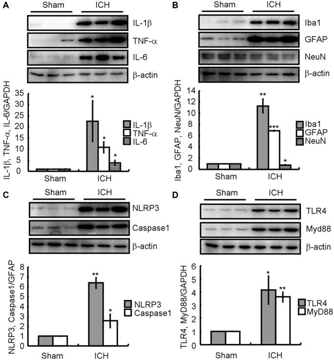 https://cdn.ncbi.nlm.nih.gov/pmc/blobs/792c/8791214/dfa69dd79f08/aging-14-203824-g003.jpg