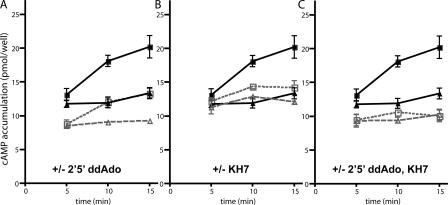 https://cdn.ncbi.nlm.nih.gov/pmc/blobs/792f/2518727/50105bf6e26e/jgp1320329f03.jpg