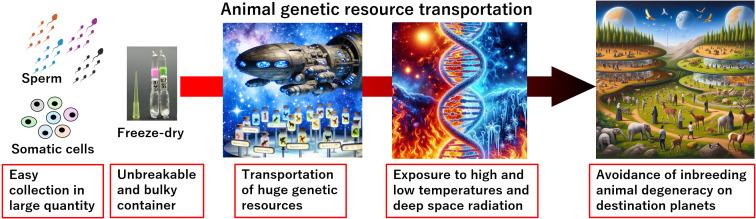 https://cdn.ncbi.nlm.nih.gov/pmc/blobs/7932/11808306/1a139a848f35/jrd-71-010-g002.jpg