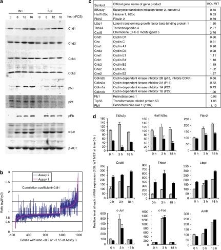 https://cdn.ncbi.nlm.nih.gov/pmc/blobs/7932/3007677/45c0f361e260/onc2010355f4.jpg