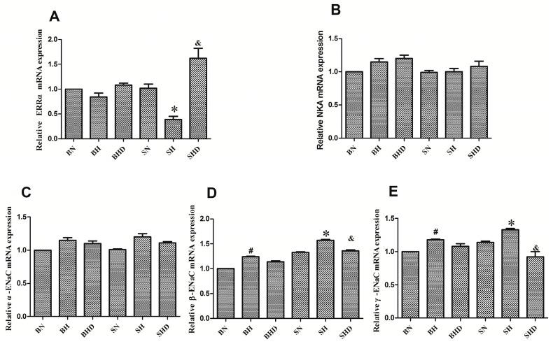 https://cdn.ncbi.nlm.nih.gov/pmc/blobs/7932/4848936/afe156153bee/ijms-17-00480-g002.jpg