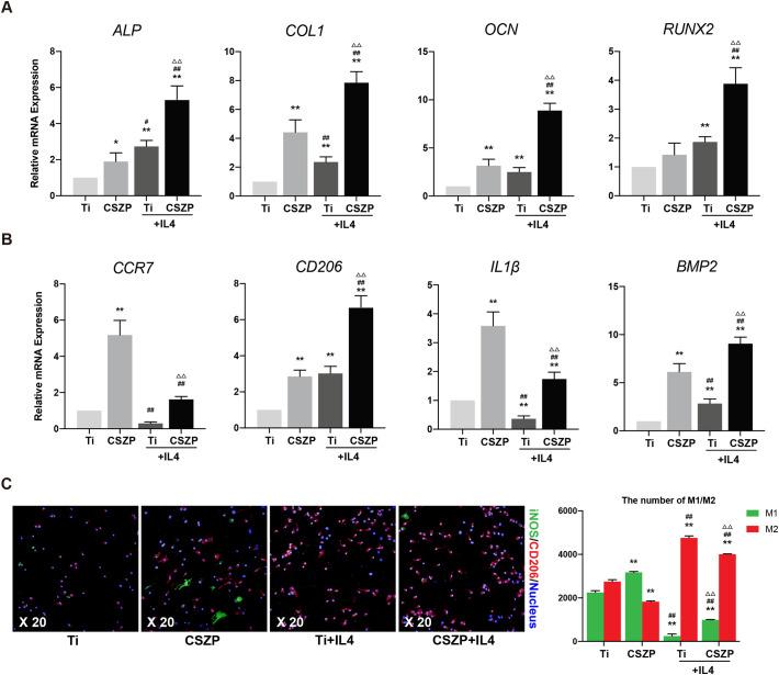 https://cdn.ncbi.nlm.nih.gov/pmc/blobs/7932/7493725/089457ce6d3e/gr4_lrg.jpg