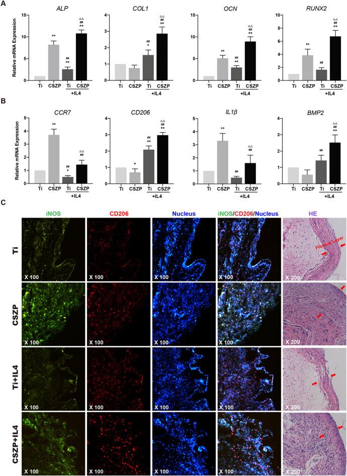https://cdn.ncbi.nlm.nih.gov/pmc/blobs/7932/7493725/3d3084bb5a15/gr5_lrg.jpg