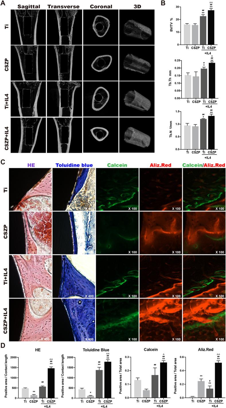 https://cdn.ncbi.nlm.nih.gov/pmc/blobs/7932/7493725/bdd9a19f029d/gr6_lrg.jpg