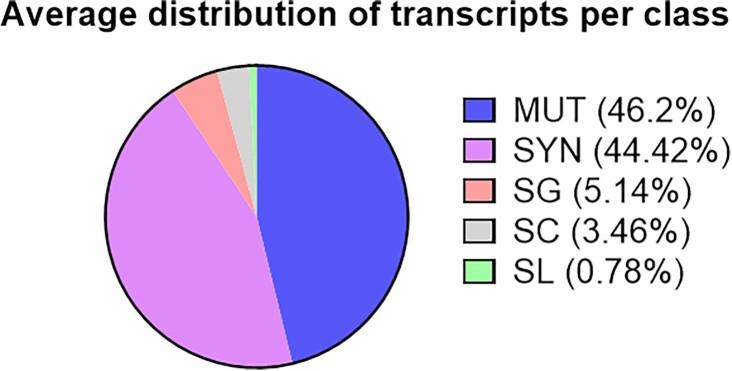 https://cdn.ncbi.nlm.nih.gov/pmc/blobs/7932/9976886/d4c4885e3c5c/gkad064fig2.jpg