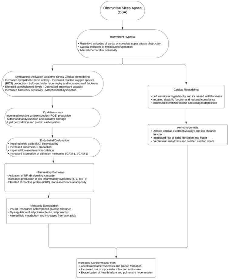 https://cdn.ncbi.nlm.nih.gov/pmc/blobs/7934/11277108/3f339fc2bc40/jcdd-11-00204-g001.jpg