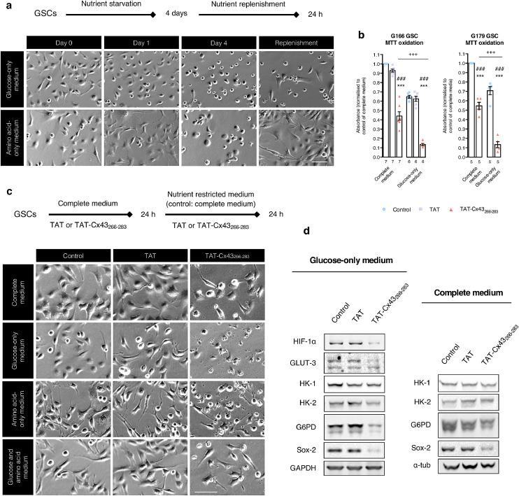 https://cdn.ncbi.nlm.nih.gov/pmc/blobs/7934/7708820/388fc24aaed6/gr3.jpg