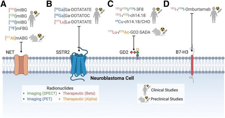 https://cdn.ncbi.nlm.nih.gov/pmc/blobs/7935/11960609/74d4957503fb/jnumed.124.269121f1.jpg