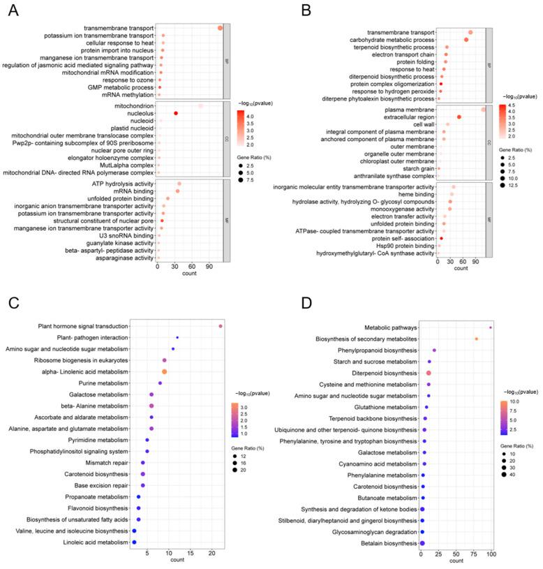 https://cdn.ncbi.nlm.nih.gov/pmc/blobs/7935/11989966/71f0c1ea3e9e/ijms-26-03161-g006.jpg