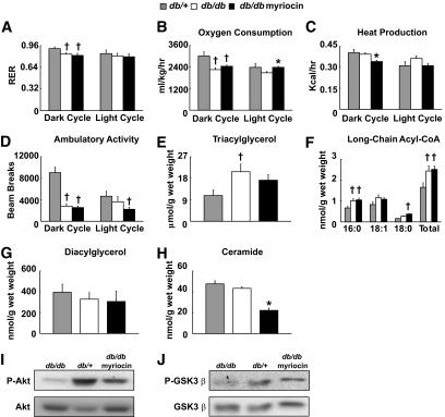 https://cdn.ncbi.nlm.nih.gov/pmc/blobs/793b/3279530/0fec57072a67/zdb0081062230008.jpg