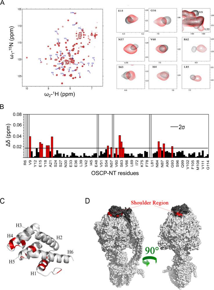 https://cdn.ncbi.nlm.nih.gov/pmc/blobs/793b/9870916/2db427d8c944/41419_2023_5572_Fig4_HTML.jpg
