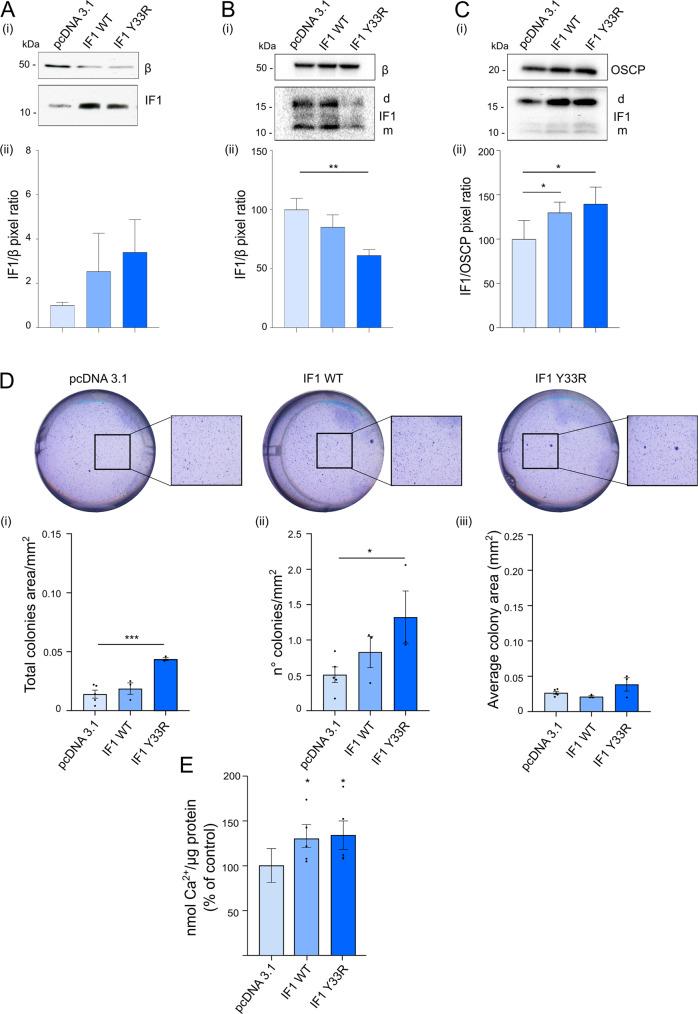 https://cdn.ncbi.nlm.nih.gov/pmc/blobs/793b/9870916/691acf272c8f/41419_2023_5572_Fig8_HTML.jpg