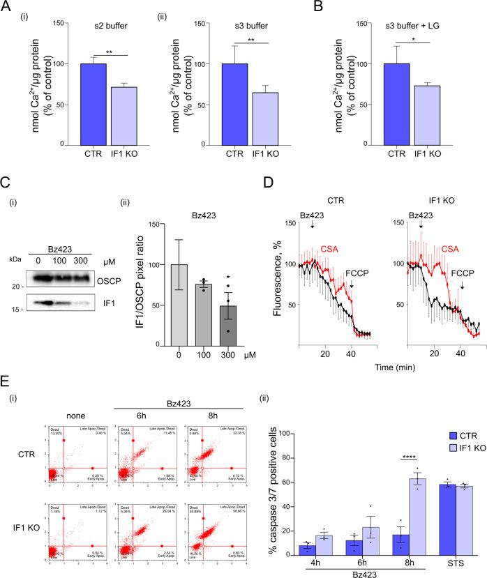 https://cdn.ncbi.nlm.nih.gov/pmc/blobs/793b/9870916/a0e345e0b781/41419_2023_5572_Fig7_HTML.jpg