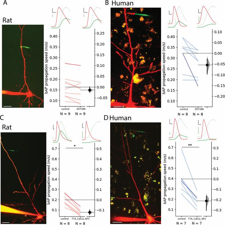https://cdn.ncbi.nlm.nih.gov/pmc/blobs/793e/12021416/78c81ecdf68a/elife-93781-fig3.jpg
