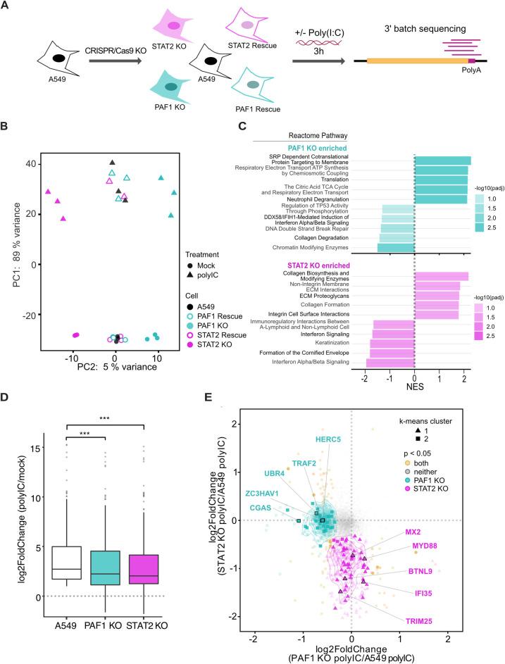 https://cdn.ncbi.nlm.nih.gov/pmc/blobs/793e/8641875/286d109119eb/ppat.1010100.g002.jpg