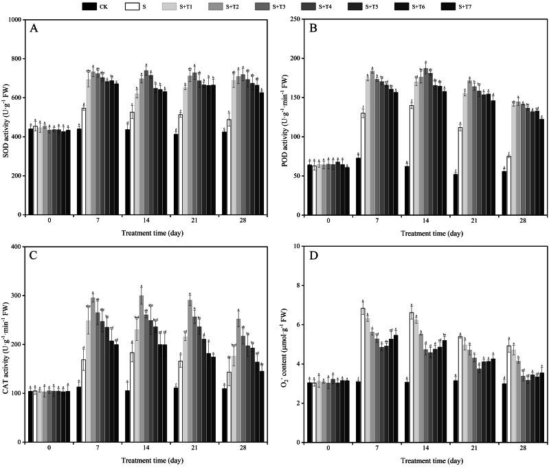 https://cdn.ncbi.nlm.nih.gov/pmc/blobs/7941/10460565/7ae883163d00/peerj-11-15881-g003.jpg