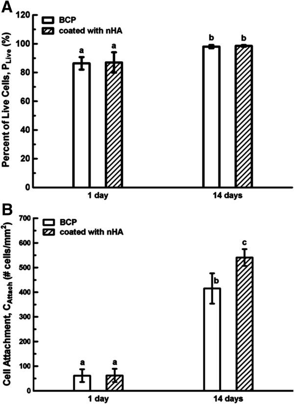 https://cdn.ncbi.nlm.nih.gov/pmc/blobs/7941/3994218/a9ee9043054e/1471-2474-15-114-5.jpg