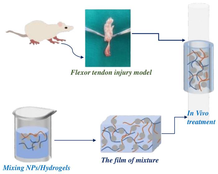 https://cdn.ncbi.nlm.nih.gov/pmc/blobs/7942/11435517/40a9eff51c8f/polymers-16-02629-g018.jpg