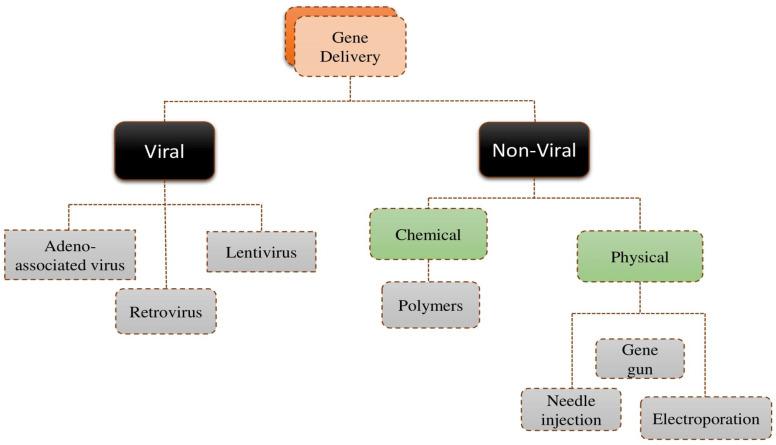 https://cdn.ncbi.nlm.nih.gov/pmc/blobs/7942/11435517/4b7c0b202eb3/polymers-16-02629-g001.jpg