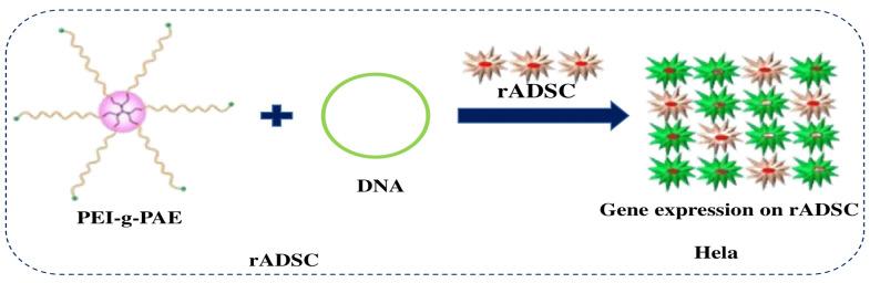 https://cdn.ncbi.nlm.nih.gov/pmc/blobs/7942/11435517/4f612e55d344/polymers-16-02629-g017.jpg