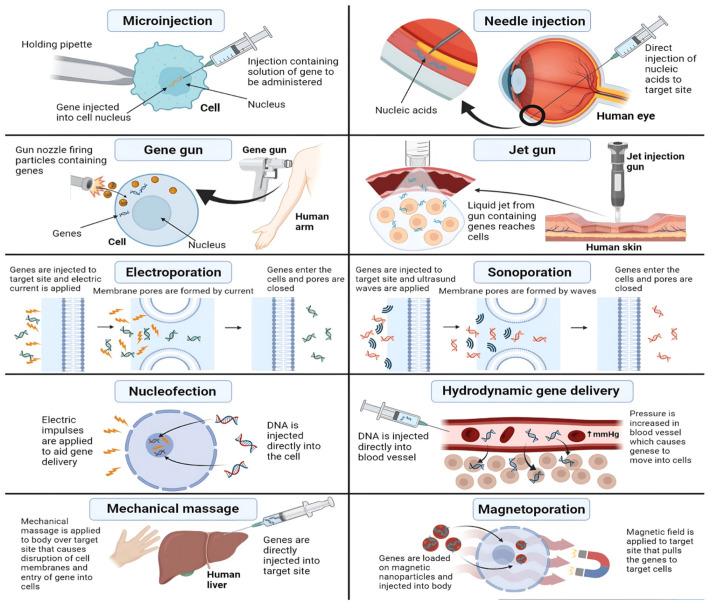 https://cdn.ncbi.nlm.nih.gov/pmc/blobs/7942/11435517/910c9d212a1b/polymers-16-02629-g004.jpg