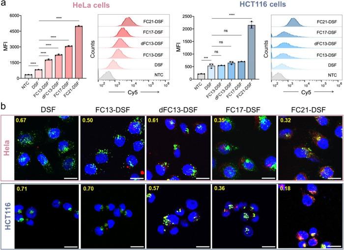 https://cdn.ncbi.nlm.nih.gov/pmc/blobs/7942/12308423/01622903c125/au5c00474_0002.jpg